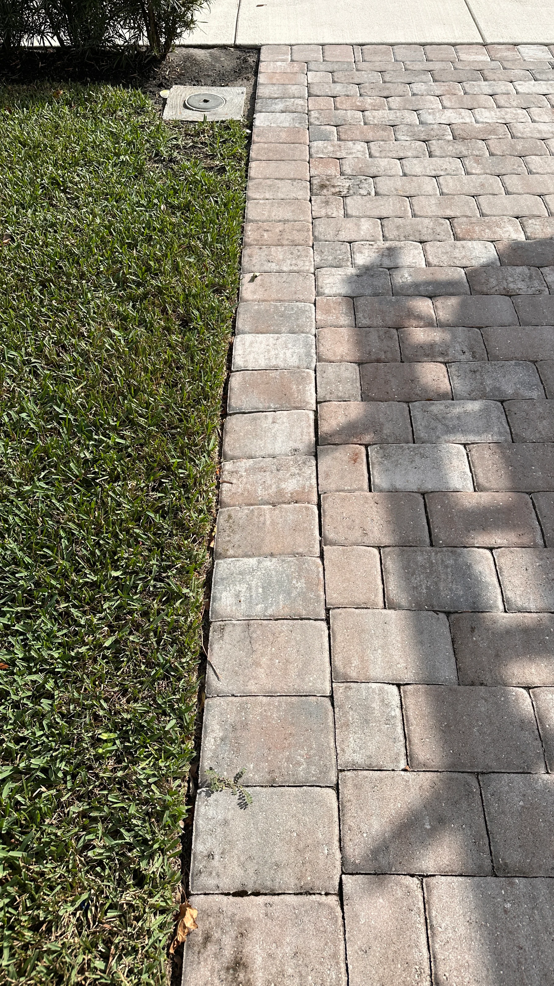 Separated pavers beside a landscape edge before localized repair