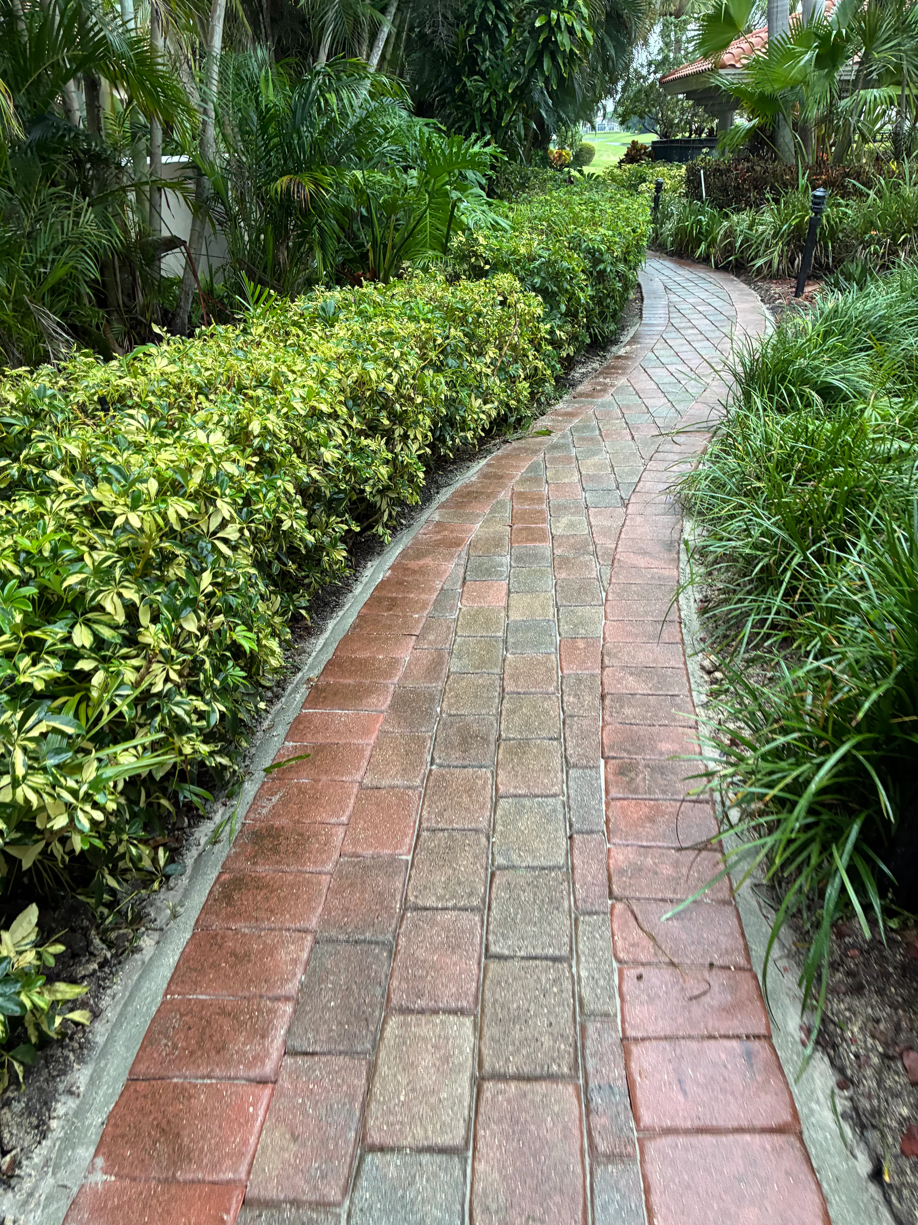 Curved paver walkway after localized repair in Palm Beach County