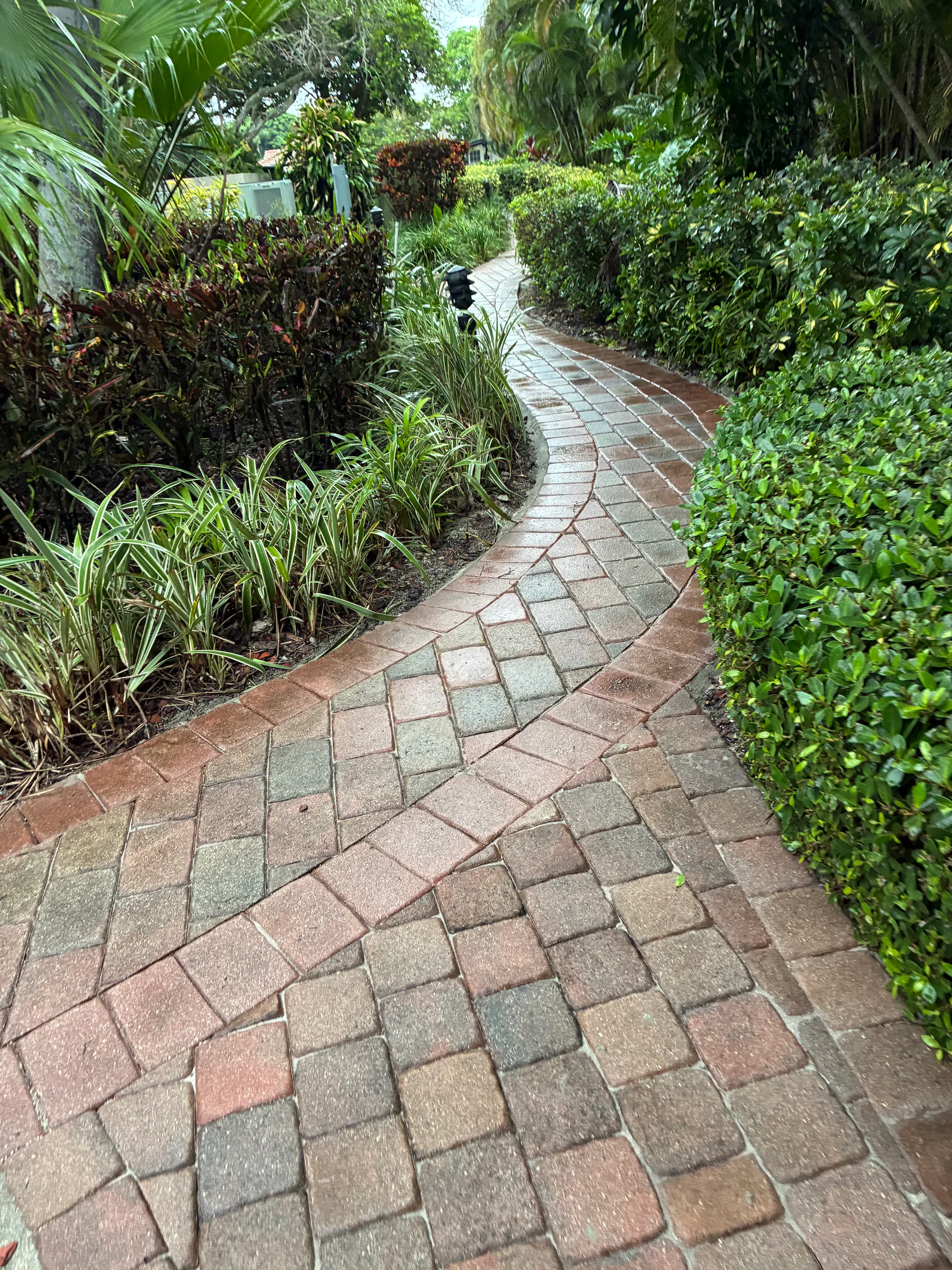 Reset curved paver walkway through tropical landscaping