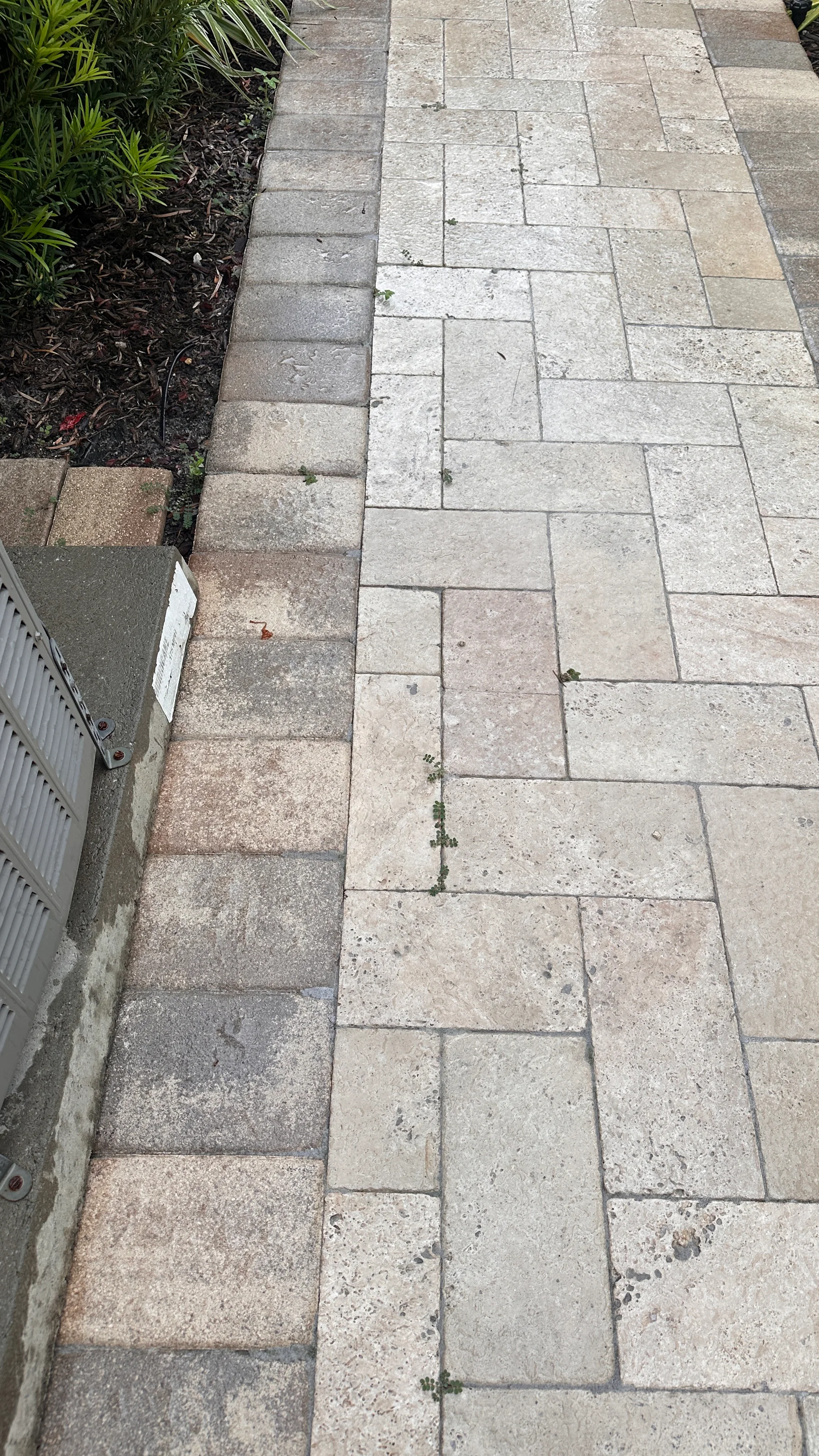Pool deck paver edge beside landscaping in Palm Beach County