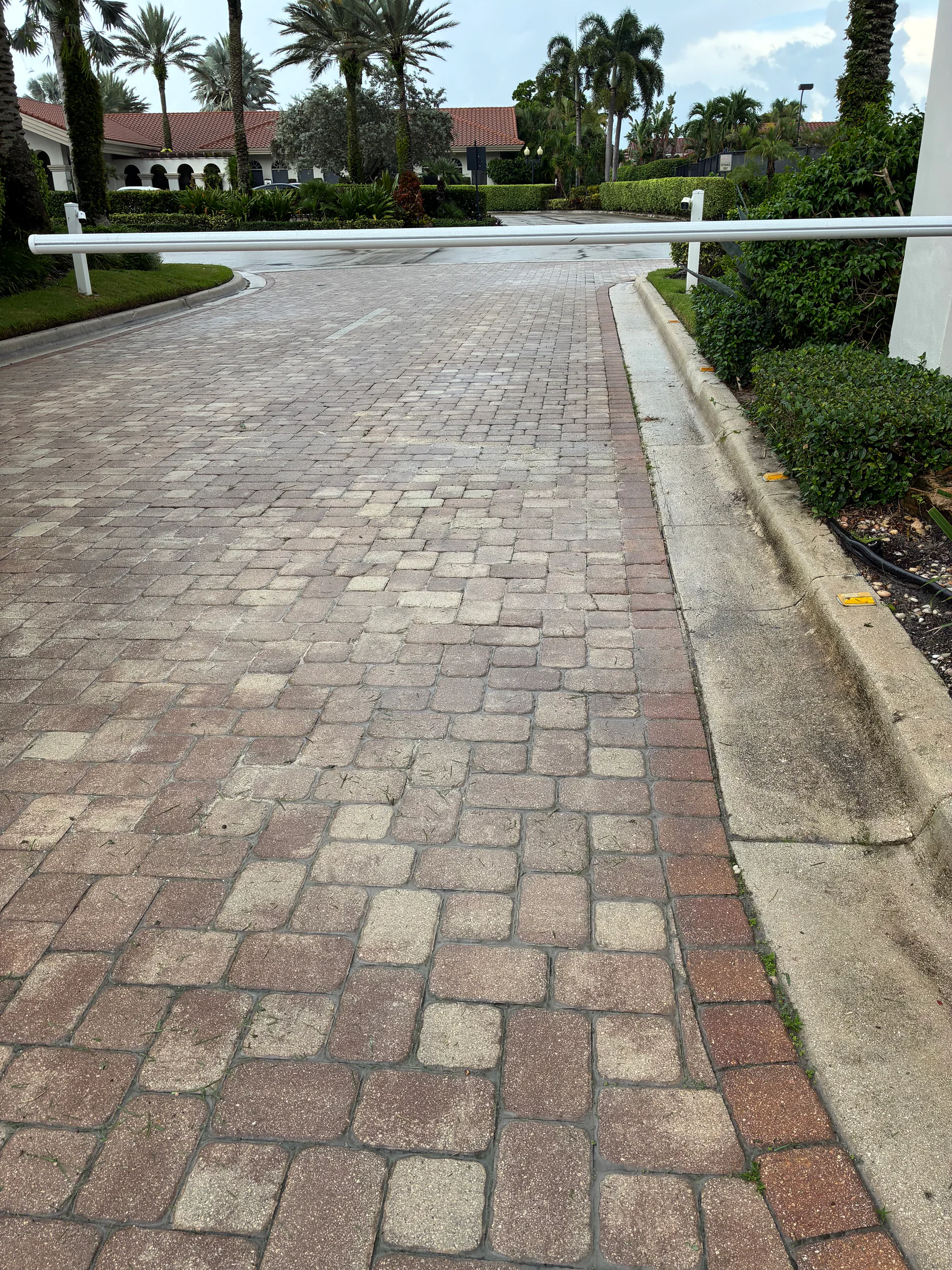 Reset driveway pavers after localized sinking paver repair in Delray Beach